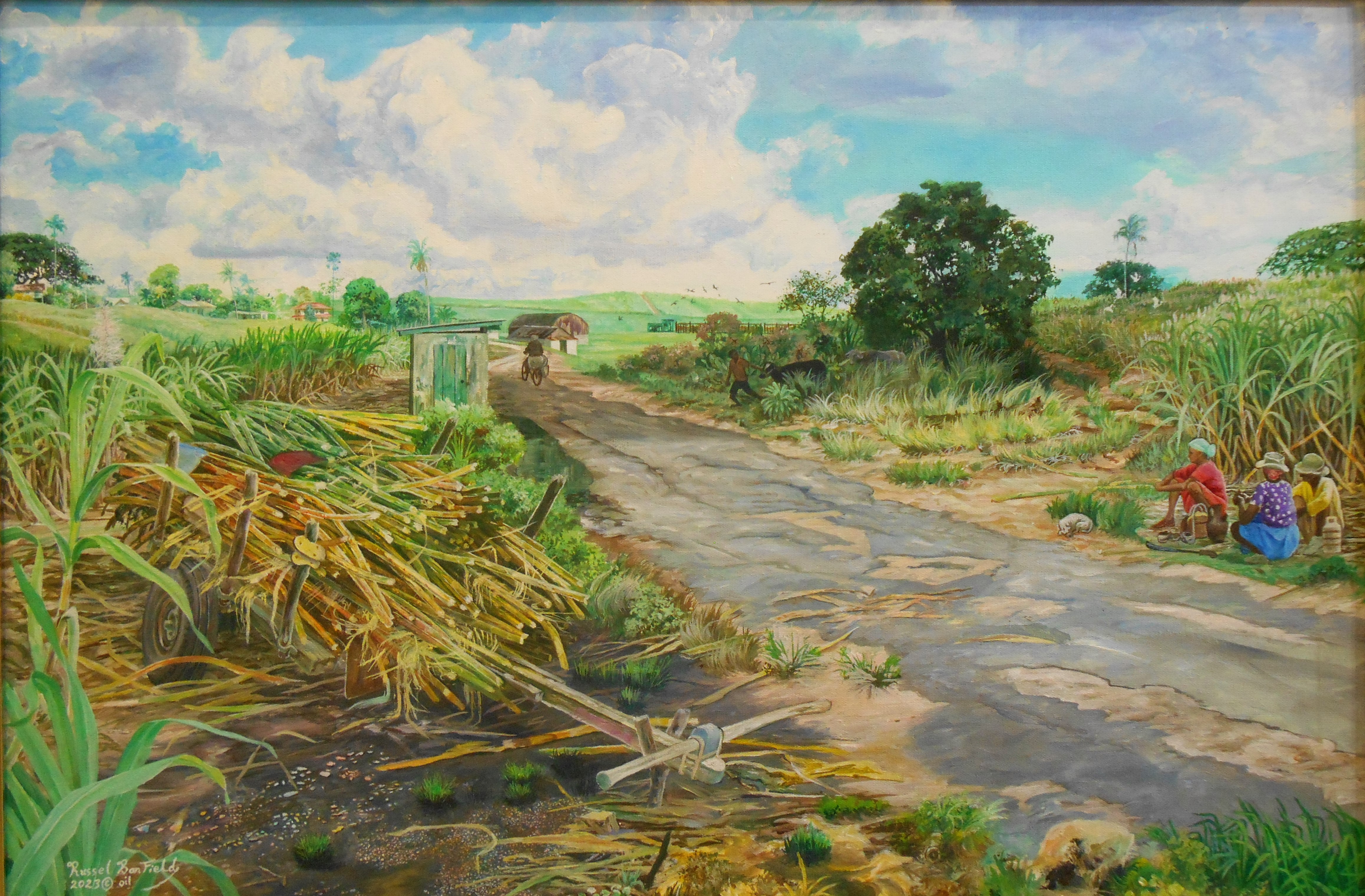 Banfield, Russel, Sugar Cane Field Scene