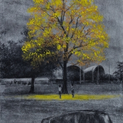 Yellow Poui