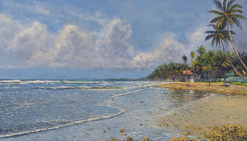 Mayaro Beach