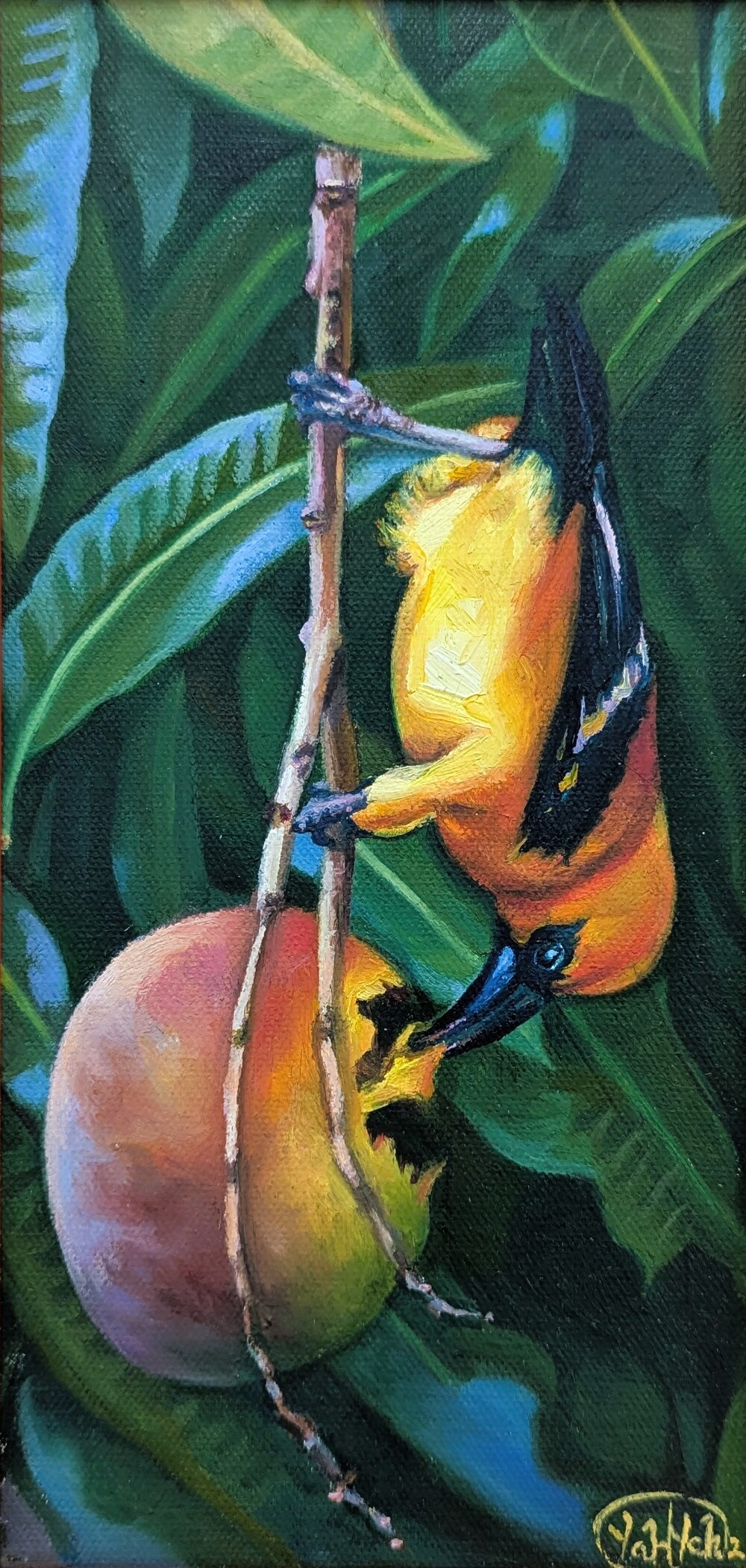 Tanager’s Delight
