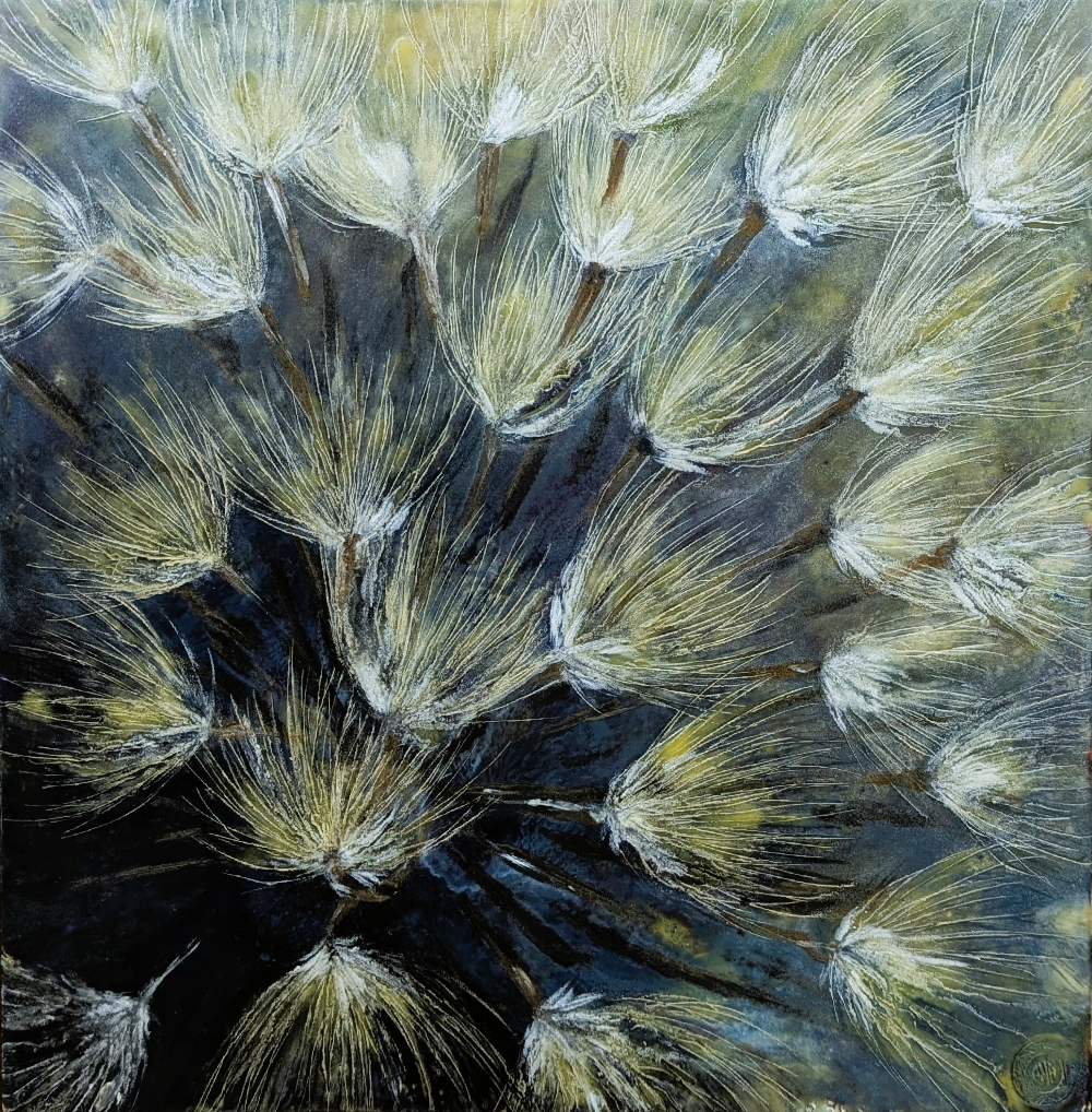 Alicia Nathai Achong, Nature's Parachutes