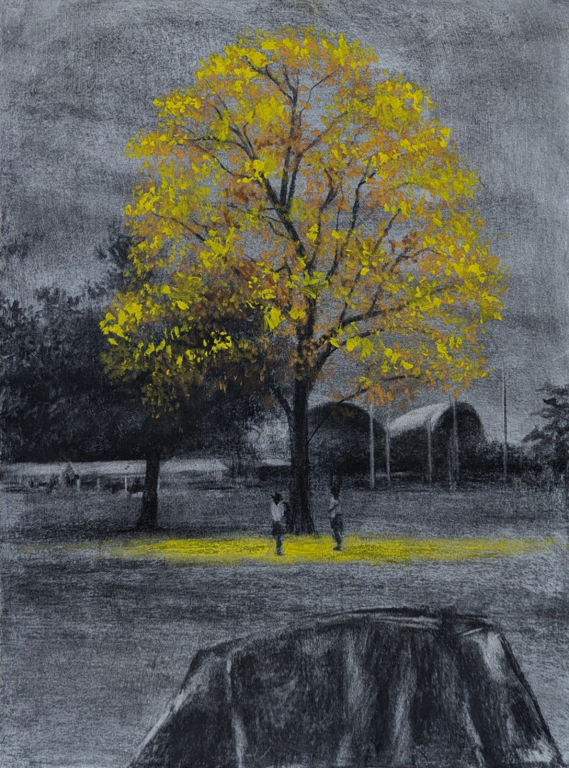 Yellow Poui