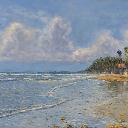 Mayaro Beach