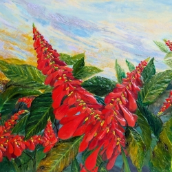 Alicia Nathai Achong, Scarlet Beauty