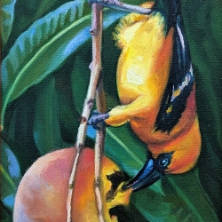 Tanager’s Delight
