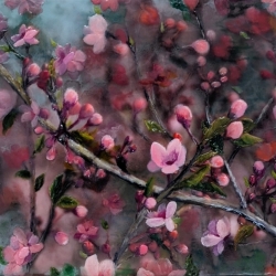 Alicia Nathai Achong, Pretty in Pink I